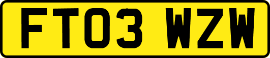 FT03WZW