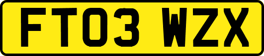 FT03WZX