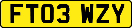 FT03WZY
