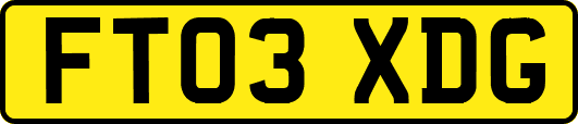 FT03XDG