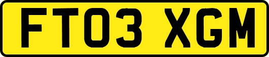 FT03XGM