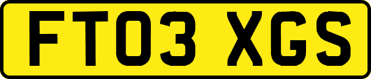 FT03XGS