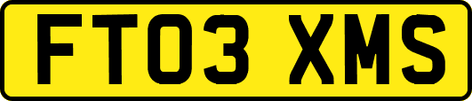 FT03XMS