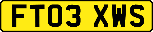FT03XWS