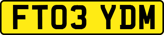 FT03YDM