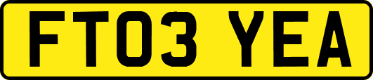 FT03YEA