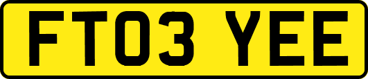 FT03YEE