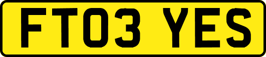 FT03YES