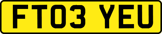 FT03YEU