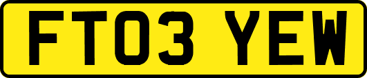 FT03YEW