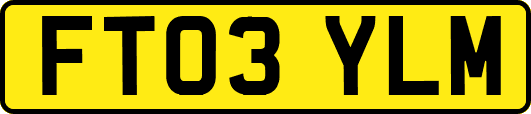 FT03YLM