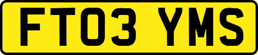 FT03YMS