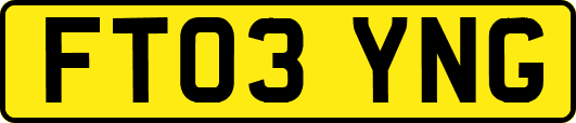 FT03YNG