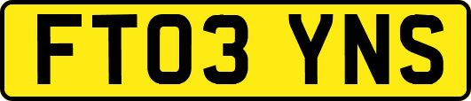 FT03YNS