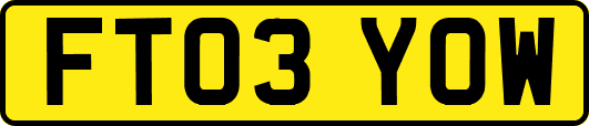 FT03YOW