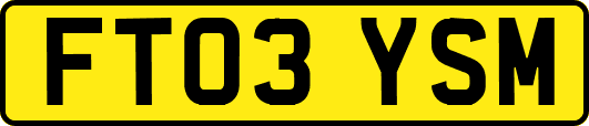 FT03YSM