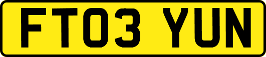 FT03YUN