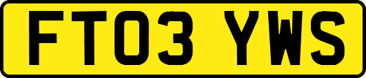 FT03YWS