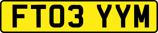FT03YYM