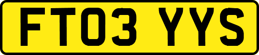 FT03YYS