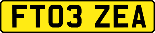 FT03ZEA