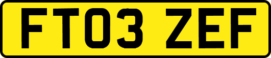 FT03ZEF