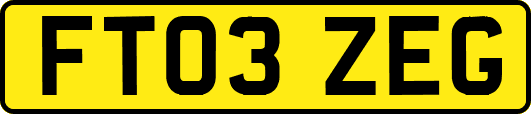FT03ZEG