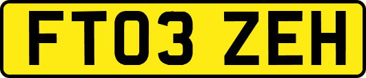 FT03ZEH