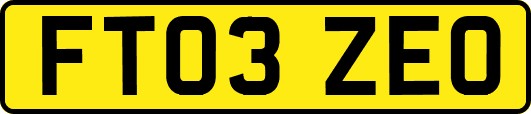 FT03ZEO