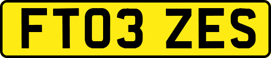 FT03ZES