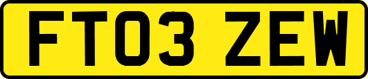 FT03ZEW