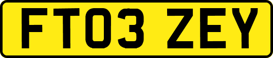 FT03ZEY