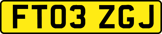 FT03ZGJ