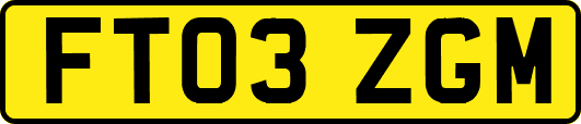 FT03ZGM