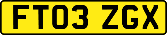 FT03ZGX