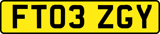 FT03ZGY