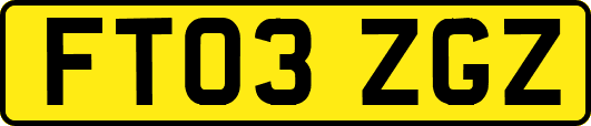 FT03ZGZ