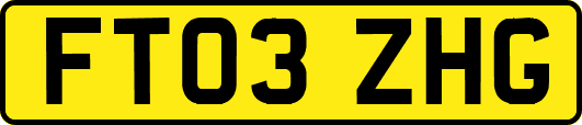 FT03ZHG