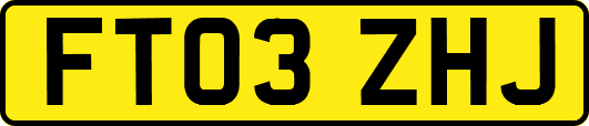 FT03ZHJ