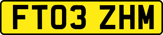 FT03ZHM