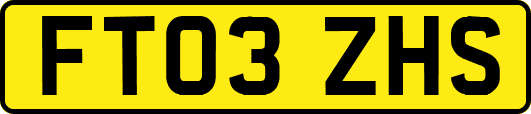 FT03ZHS