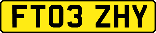 FT03ZHY