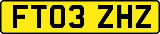 FT03ZHZ