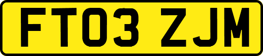 FT03ZJM