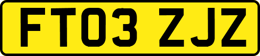 FT03ZJZ