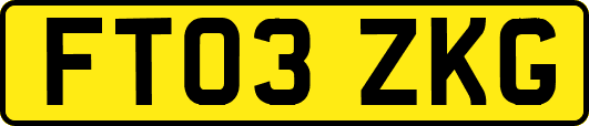 FT03ZKG