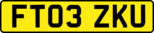 FT03ZKU