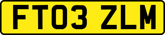 FT03ZLM