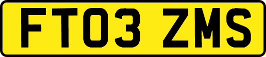 FT03ZMS