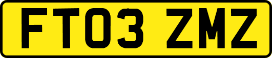 FT03ZMZ